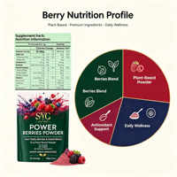 SYC BIO Power Berries & Seeds Blend Formule naturelle de soutien immunitaire 150g 30 portions Smoothies pour adultes