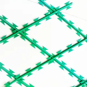 China Supplier Cheap Price BTO-22 Welded PVC Coated Razor Barbed Wire Mesh Netting