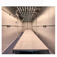 Barres de lampes LED de culture Risen Green, nouveau modèle, spectre complet, 1000 W, pour l'horticulture, lampes LED de culture pour serre