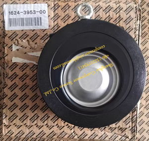 Valvole di ritegno e valvole antiritorno. 1624395300 - Product Image 1