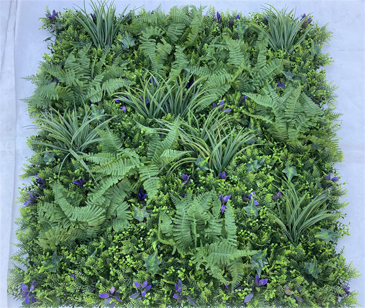 LS01 vert