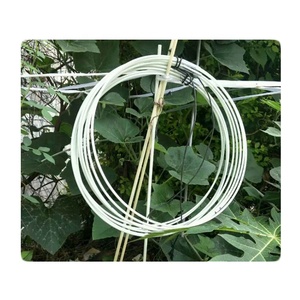 สรรเสริญที่มีความยืดหยุ่นนมัสการเต้นรำเสาธงไฟเบอร์กลาสก้าน - Product Image 1