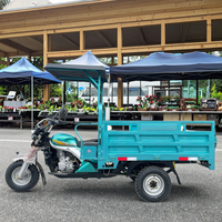 Tricycle de transport de marchandises à moteur essence 200cc 2T à carrosserie ouverte WangHu OEM/ODM de haute qualité