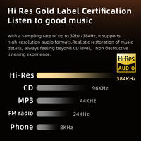 PIVA BJ10 3.5mm 4.4mm 384KHz/32bit Stereo müzik HiFi ses kulaklık amplifikatörü küçük kuyruk güç amplifikatörü DAC DSD ses şifre çözücü