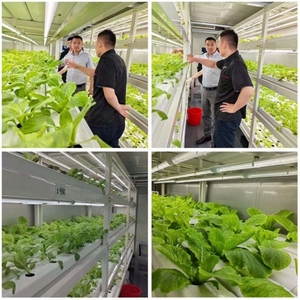 Conteneurs de culture de légumes à commande intelligente JIAPEI, agriculture verticale, usine de plantes, conteneur hydroponique JP-V040529 Hydroponi - Product Image 3