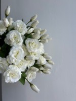 Bunga Lisianthus Putih Alami Buatan Sentuhan Realistis Dekorasi Rumah Bunga Lisianthus