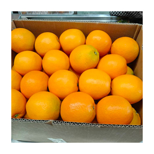 Naranjas Frescas Dulces y Jugosas, Naranjas Navel <span class=keywords><strong>de</strong></span> 70-85mm, Calidad <span class=keywords><strong>de</strong></span> Exportación, en Caja para Venta al Por Mayor - Product Image 1
