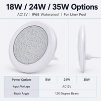 Lumière LED pour piscine 18W 24W 35W AC12V IP68, lampe submersible pour bassin, fontaine, bain, spa, murale, OEM ODM
