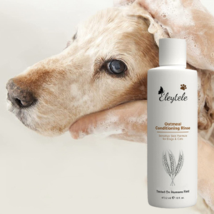 Private Label Biologische Veganistische Hondenshampoo Hondenverzorging Dispenserende Hondendouche Dieren Droogshampoo - Product Image 1