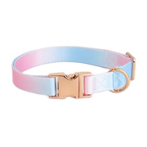 Collares Ajustables de Nailon para Gatos con Cierre de Hebilla en Colores Arcoíris para Gatos Pequeños, Estilo para Todas las Estaciones - Product Image 4