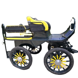 Carro de caballos de entrenamiento de maratón turístico - Product Image 4