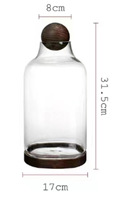 Soufflé à la main de haute qualité Micro paysage couvercle en verre dôme Vase en verre clair conteneur de plantes avec boule en bois avec base en bois