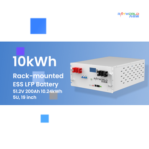 Système de stockage d'énergie solaire LiFePO4 51,2 V 200 Ah monté sur rack, communication CAN, usage domestique, vente directe Rayworld - Product Image 1