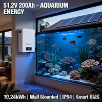 Baterai Lithium Ion 10kWh 48V 51.2V 200Ah untuk Sistem Surya Terpasang di Dinding