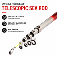 Canne à pêche télescopique portable en fibre de verre pour la pêche en eau douce et en mer, canne à action rapide pour la pêche à la carpe