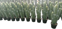 Cactus artificiel en pot en plastique 20x18x36cm pour usage extérieur