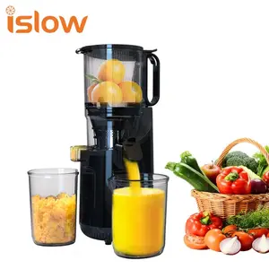 Hot Selling Product Slow Masticating Juicer Automatic Cold Press Slow Juicer