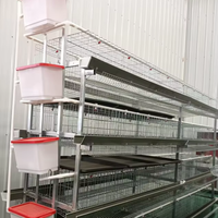 Cages à poules pondeuses de type H
