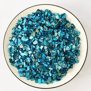 कुचल गोले चिप्स थोक प्राकृतिक रंगीन Seashells के लिए DIY रसीला फूलदान भराव सजावटी चित्रकला सामग्री