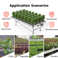 Table de culture mobile et fixe 4x8 à structure métallique pour serre agricole et hydroponie, avec fonctionnalités pratiques