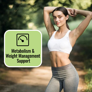 Private Label <b>Menopause</b> & Perimenopause Supplement for Women Tea for Apple Cinnamon Metabolism Female Hormone Balancing Tea - Product Image 3