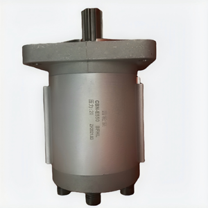 Pompe hydraulique Huamao803004032. Pompe hydraulique de support LW300. Pompe à engrenages CBT-E550 - Product Image 5