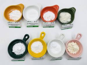 Polvere di dipalmitato dell'acido Kojic di CAS 79725-98-7 del grado dei cosmetici - Product Image 6
