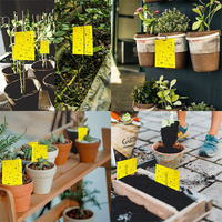 Fabriek Directe Gele Fruitvlieg Insect Sticker Trap Board Sterke Lijm Effen Plastic Milieuvriendelijk