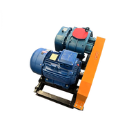 Shan Gu Fabrieksprijs Afvalwaterzuiveringsapparatuur RSR-100 Dubbele Olietank Luchtgekoelde Mini Roots Vacuümblazer