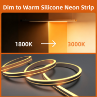Lampu Rumah Pintar IP68 Dim to Warm 24V Neon Flex Ra95 Strip Lentur Anti-UV LED Outdoor untuk Fasad Komersial/Kamar Hotel/Taman