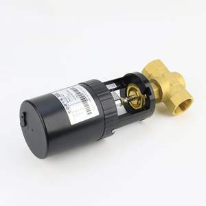 Vanne de commande filetée bidirectionnelle électrique Vanne intégrale proportionnelle en laiton - Product Image 2