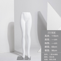 Pantalon de grande taille pour présentation des jambes, grandes hanches, pantalon femme, mannequin de sport pour présentation de culotte, jambes de mannequin femme à vendre