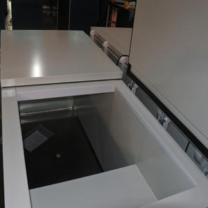 二重ヒンジ付きドア屋外チェストドロップアイスクーラーアイス収納チェストフリーザーインバーター - Product Image 5