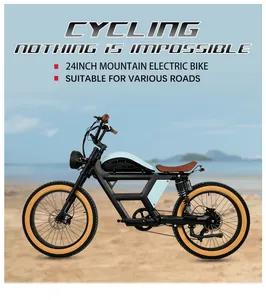 Ebike quadro 73 ebike 1000W Motor 48V/40AH Bateria de lítio removível bicicleta motorizada