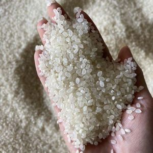 Riz Basmati Sugandha en gros, directement de l'usine, pour la cuisson des sushis, prix bas, origine Inde, durée de conservation de 24 mois - Product Image 1