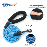 Pour une laisse de chien Mazon Top Seller avec poignée rembourrée Matériau réfléchissant en nylon durable Laisse pour animaux de compagnie à rayures rondes avec ruban