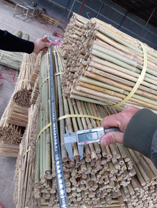 Piquets en bambou robustes pour l'agriculture, bâtons de soutien en bambou naturel pour pépinières et fermes - Product Image 2