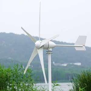 Generador Eólico de 48V, 5 Aspas, 1 KW, Modelo RX-1000H5, Generador de Imán Trifásico, Certificado CE, Precio de Fábrica, Rotor Personalizado RX-1000H5 - Product Image 2