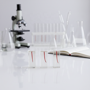 Modelo de Raíz Dental Educativo para Ciencias Médicas, Modelo de Enseñanza de Implantes Dentales con Dientes para Educación Dental - Product Image 1