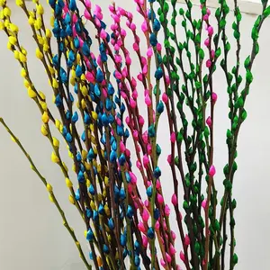 Offre Spéciale coloré préservé salix argyracea fleur véritable naturel préservé de saule pour la décoration du festival - Product Image 1