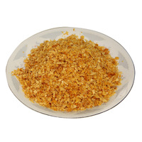 Poudre d'ail frit lyophilisé de haute qualité pour plats culinaires, fournie directement, sans OGM, nouveau modèle de légumes séchés