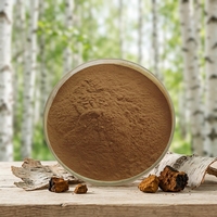 Sciyu Supply Poudre d'extrait de champignon Chaga avec 20% 50% de polysaccharides, qualité alimentaire, certifiée Halal