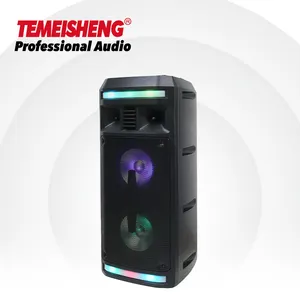 2023Temeisheng vendita calda luce ambientale telecomando display a LED USB con connessione wireless dj Karaoke Party Speakers