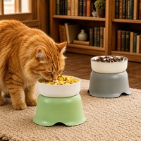 Gamelle surélevée en céramique en forme de fleur, anti-renversement, pour chat et chien, avec support