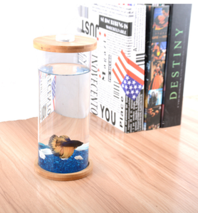 Petite table de bureau bureau betta poisson rouge eau <span class=keywords><strong>marine</strong></span> mini plastique acrylique <span class=keywords><strong>tortue</strong></span> <span class=keywords><strong>aquarium</strong></span> <span class=keywords><strong>aquarium</strong></span> - Product Image 5
