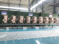 Système de Fermentation réfrigéré en acier inoxydable 5BBL 500L 5HL réservoir de bière lumineux