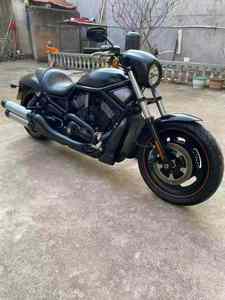 Motos d'occasion Harley-Davidson Night <span class=keywords><strong>Rod</strong></span> Sportster Series - Motos à essence performantes <span class=keywords><strong>V</strong></span>-Twin 1250cc refroidies par liquide - Product Image 6