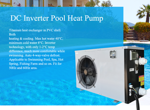 Bơm nhiệt R290 4Kw Spa sưởi ấm làm mát trong nhà cài đặt Điện thép không gỉ sưởi ấm nước Propane hồ bơi nóng - Product Image 5