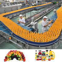 ISO 9001/CE Turnkey-oplossing Multifunctionele Volledig Automatische Concentratie Fruit Sap Productielijn voor appel en granaatappel