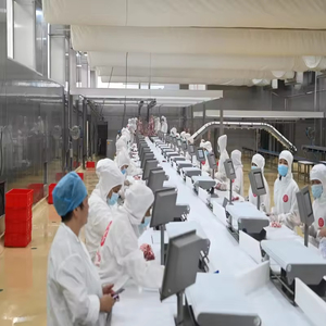 Yeni Domuz Kesim Hattı Konveyör Bantlı Mezbaha Sığır Eti Kesme Et Üretim İşleme Hattı 304 Paslanmaz Çelik - Product Image 6